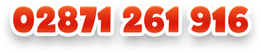 02871261916